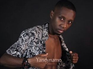 Yandynamo