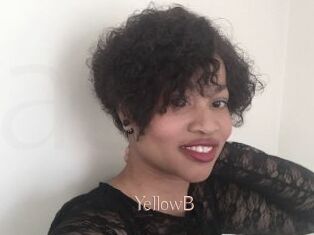YellowB