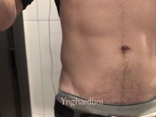 Ynghardboi