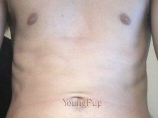 YoungPup