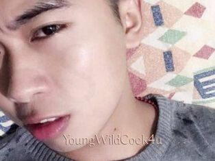 YoungWildCock4u Anal Sexe