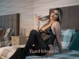 YuanHolmes