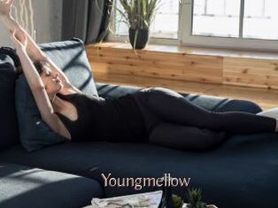 Youngmellow