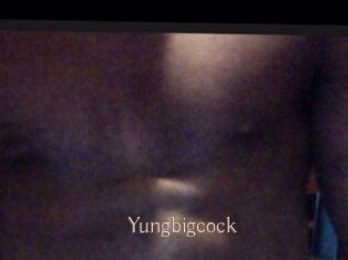 Yungbigcock