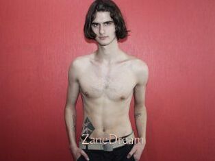 ZaneDream