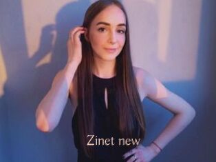 Zinet_new