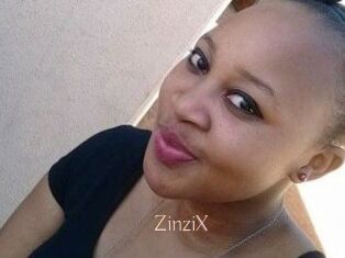 ZinziX