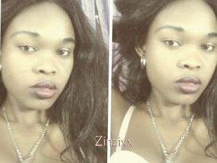 Zinzixx