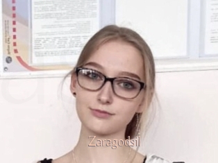 Zaragodsil