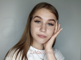 Zeldacannon